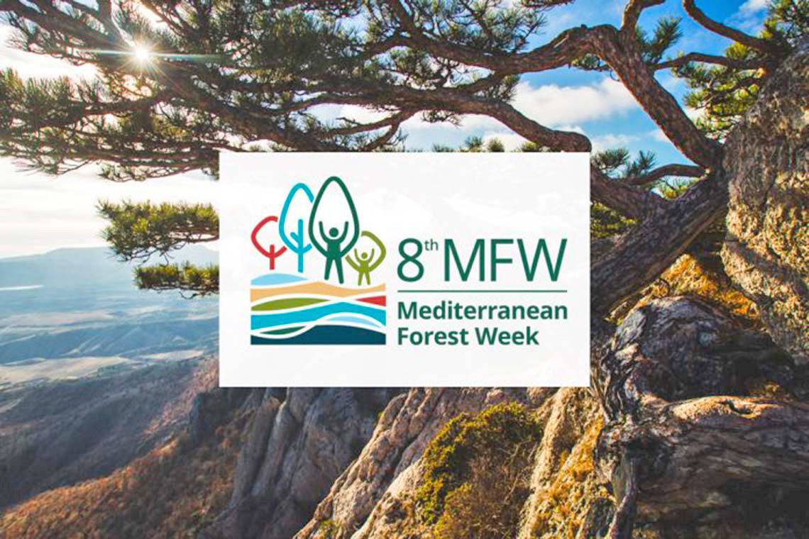 GoProForMED and the 8th Mediterranean Forest Week