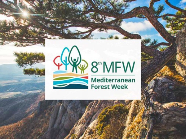 GoProForMED e la 8th Mediterranean Forest Week