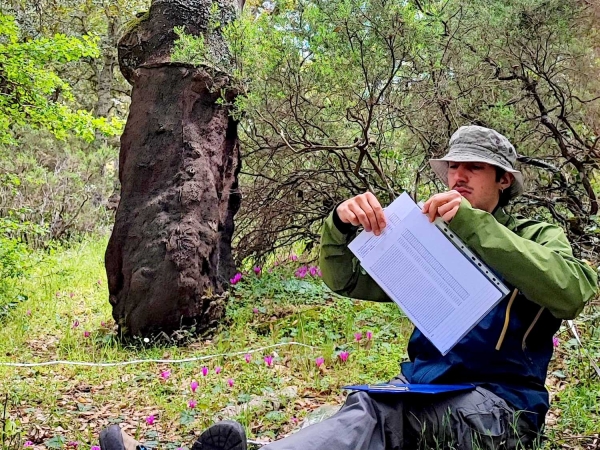 Influenza dei caratteri strutturali sulle specie vegetali diagnostiche di habitat forestali mediterranei